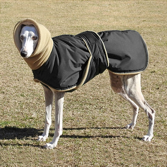 Winter Warm Waterproof Dog Jacket For Medium Large Dogs