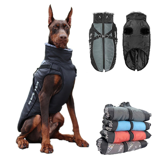 Large Dogs Winter Waterproof Clothes - Duomm