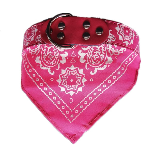 Adjustable Small Dog or Cat Collars