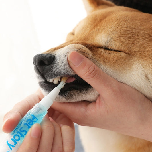Dog Cat Teeth Cleaning Pen 5 ml - set