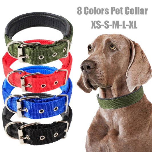 Nylon Color Dog Collars - BOUSSAC