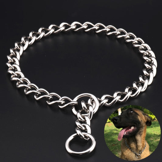 Metal Silver Stainless Dog Collar