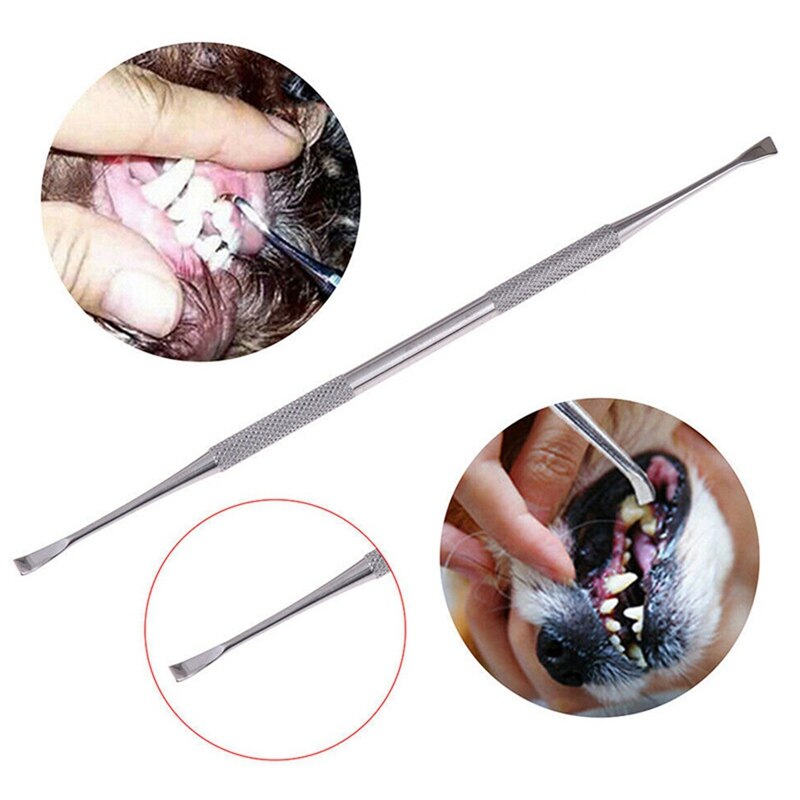 Dog Tooth Cleaner Tartar Remover Scraper Kit