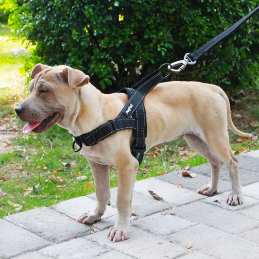 Adjustable Medium Large Dog Walking Harness - DogFad