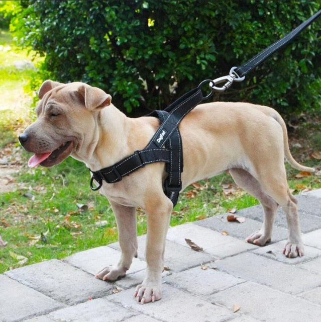 Adjustable Medium Large Dog Walking Harness - DogFad