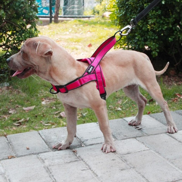 Adjustable Medium Large Dog Walking Harness - DogFad