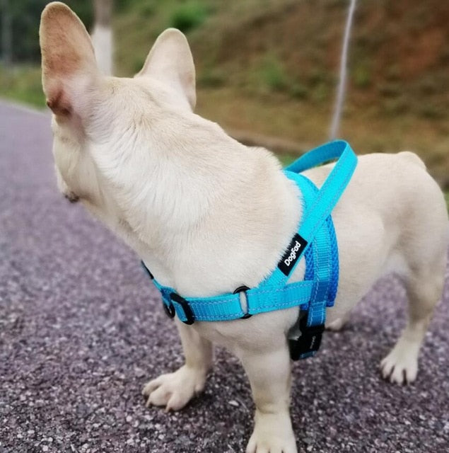 Adjustable Medium Large Dog Walking Harness - DogFad