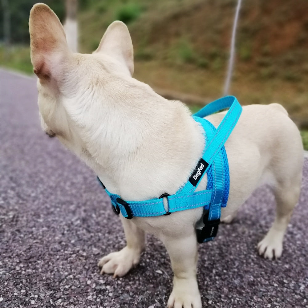 Adjustable Medium Large Dog Walking Harness - DogFad