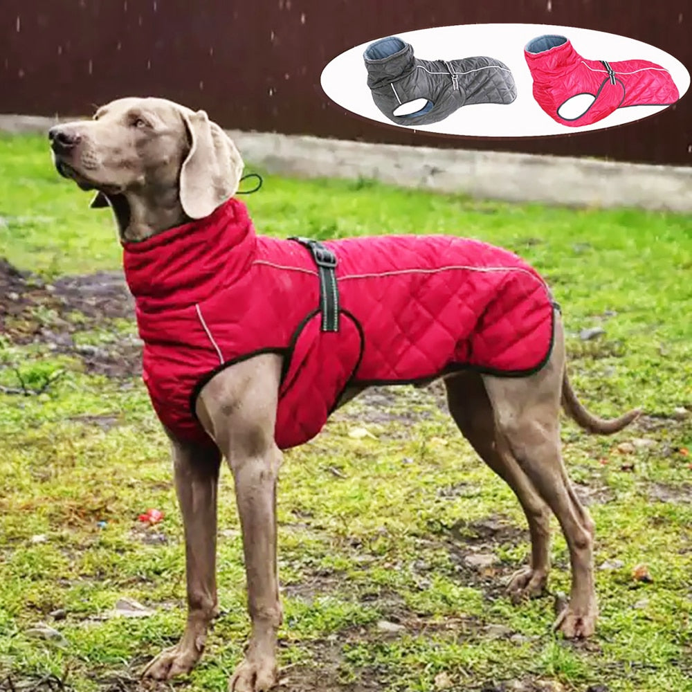 Dog Outdoor Waterproof Winter Jacket