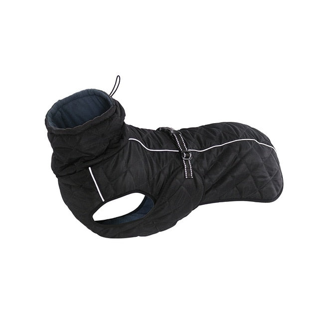 Dog Outdoor Waterproof Winter Jacket