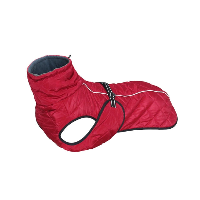 Dog Outdoor Waterproof Winter Jacket