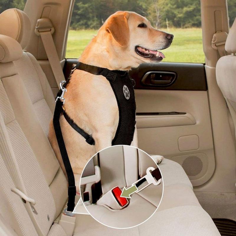 Breathable Dog Harness - With Adjustable Straps