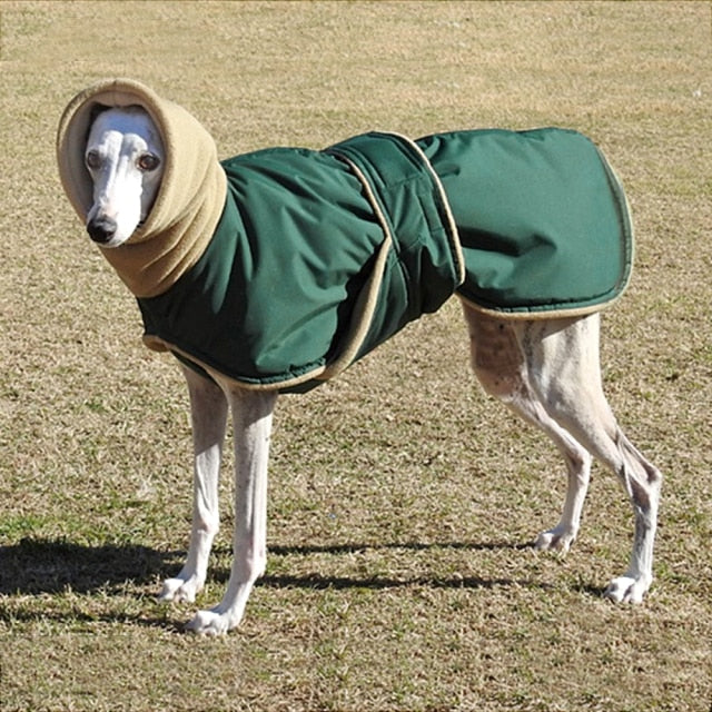 Winter Warm Waterproof Dog Jacket For Medium Large Dogs