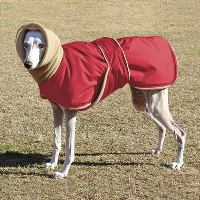 Winter Warm Waterproof Dog Jacket For Medium Large Dogs