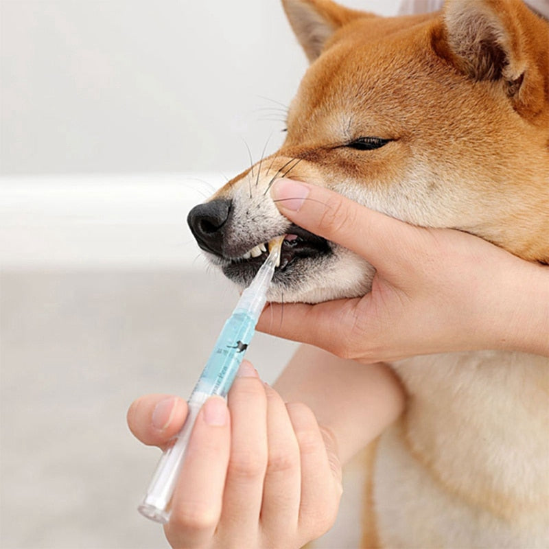 Dog Cat Teeth Cleaning Pen 5 ml - set
