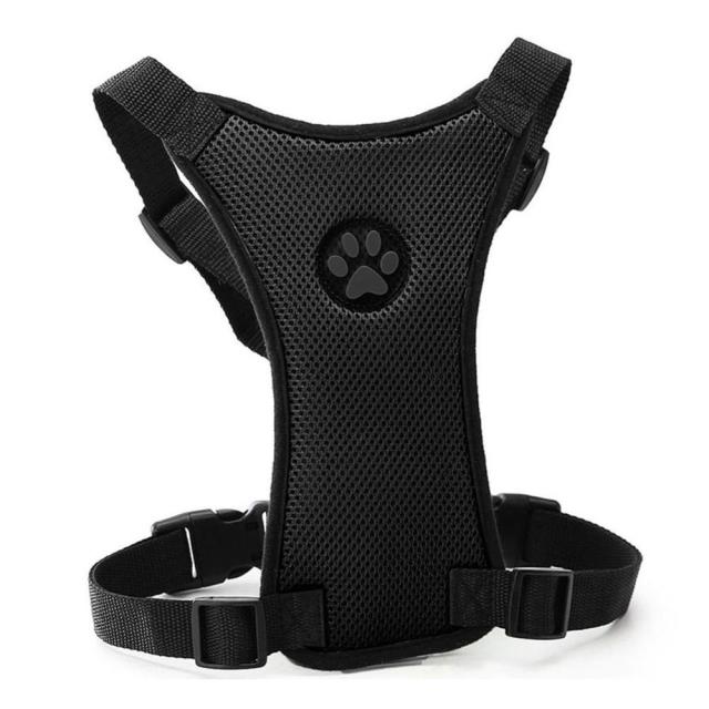 Breathable Dog Harness - With Adjustable Straps