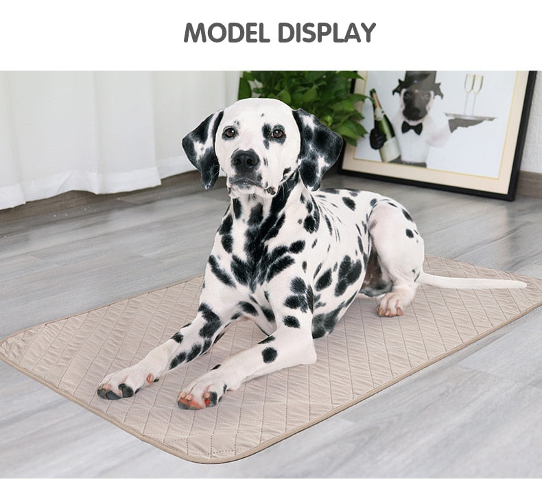 Reusable  Waterproof Dog Mat