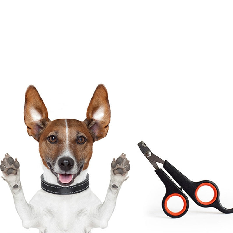 Multicolor Pet Nail Clipper