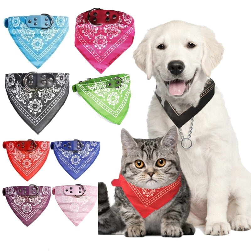 Adjustable Small Dog or Cat Collars