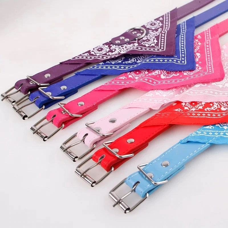 Adjustable Small Dog or Cat Collars