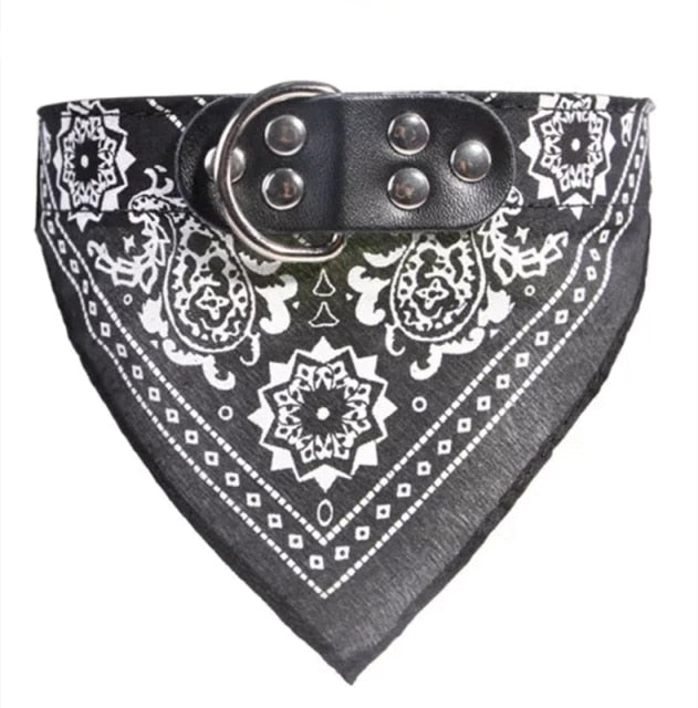 Adjustable Small Dog or Cat Collars