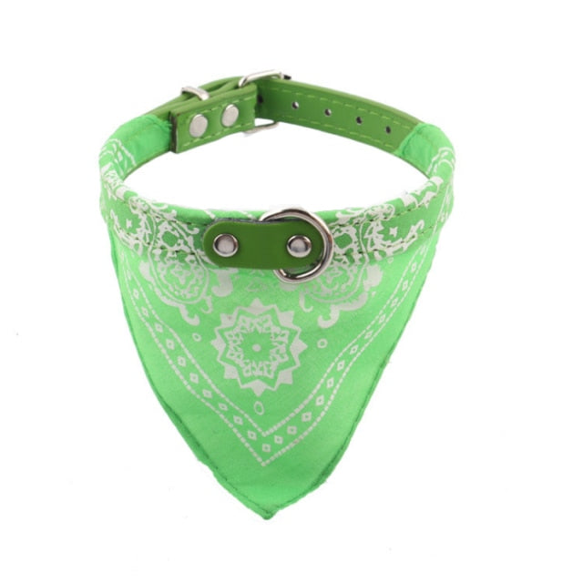 Adjustable Small Dog or Cat Collars
