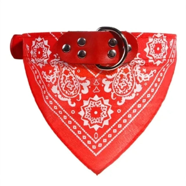 Adjustable Small Dog or Cat Collars
