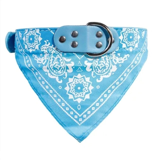 Adjustable Small Dog or Cat Collars
