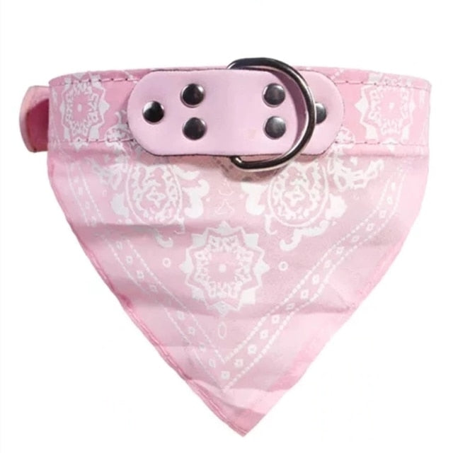 Adjustable Small Dog or Cat Collars