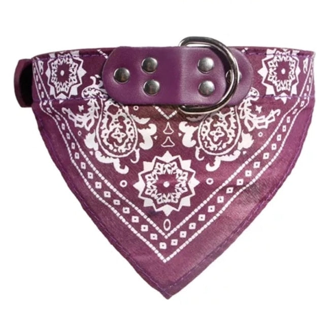 Adjustable Small Dog or Cat Collars
