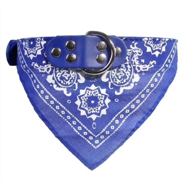 Adjustable Small Dog or Cat Collars