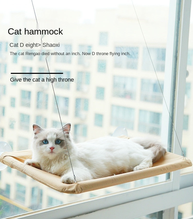 Cat Window Hanging Beds Bearing 20kg