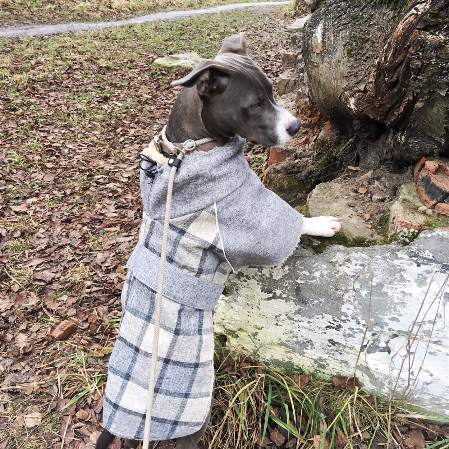 Winter Warm Dog Jacket - Glorious Kek