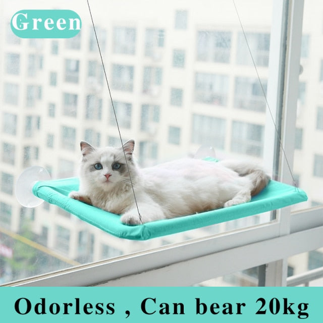 Cat Window Hanging Beds Bearing 20kg