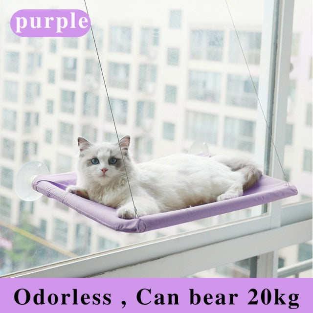 Cat Window Hanging Beds Bearing 20kg