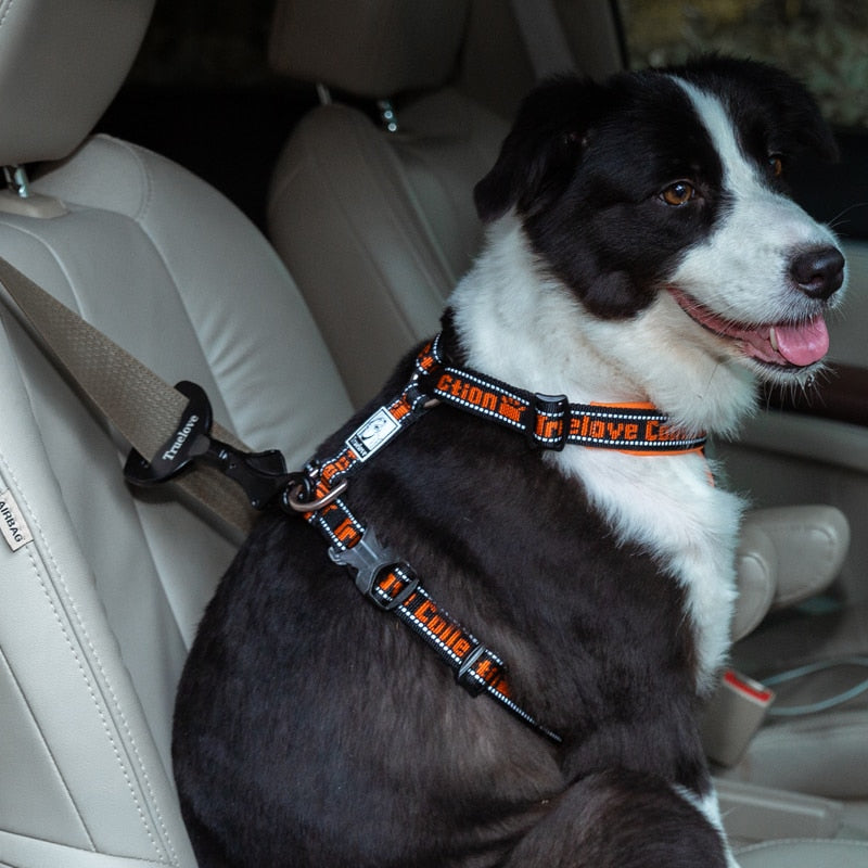 Pet All Car Seat Belt Safety Buckle - TRUELOVE
