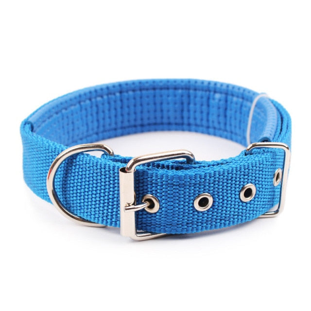 Nylon Color Dog Collars - BOUSSAC