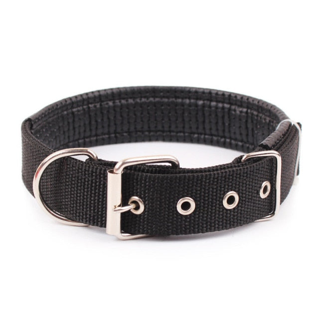 Nylon Color Dog Collars - BOUSSAC