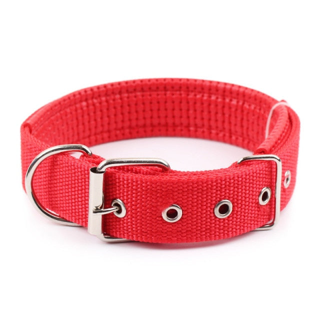 Nylon Color Dog Collars - BOUSSAC