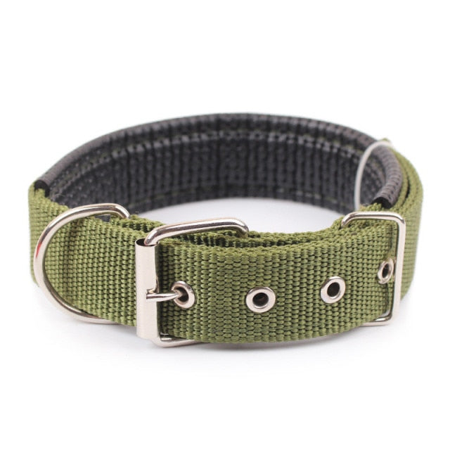 Nylon Color Dog Collars - BOUSSAC