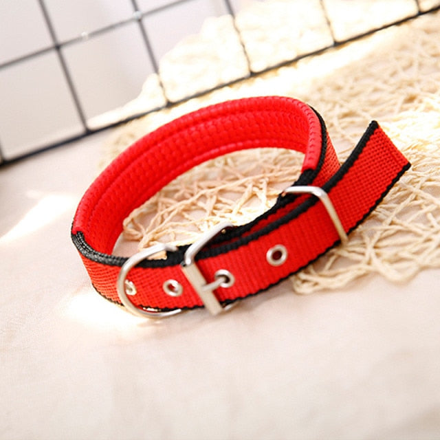 Nylon Color Dog Collars - BOUSSAC