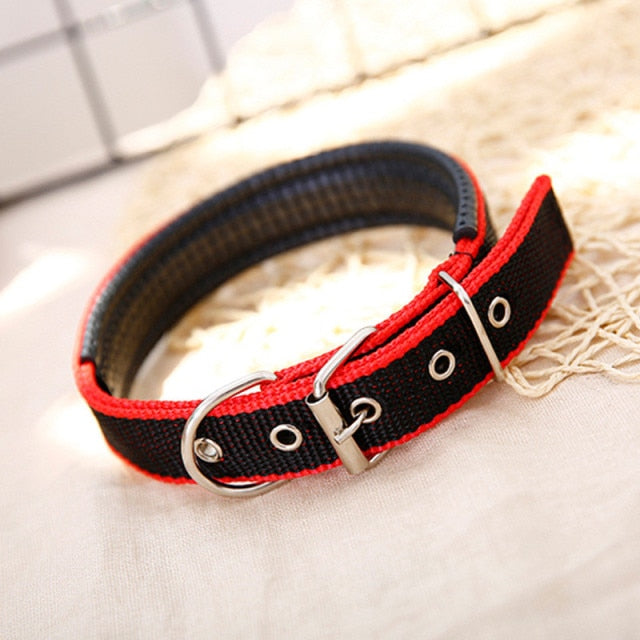 Nylon Color Dog Collars - BOUSSAC