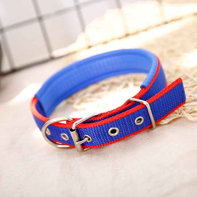 Nylon Color Dog Collars - BOUSSAC
