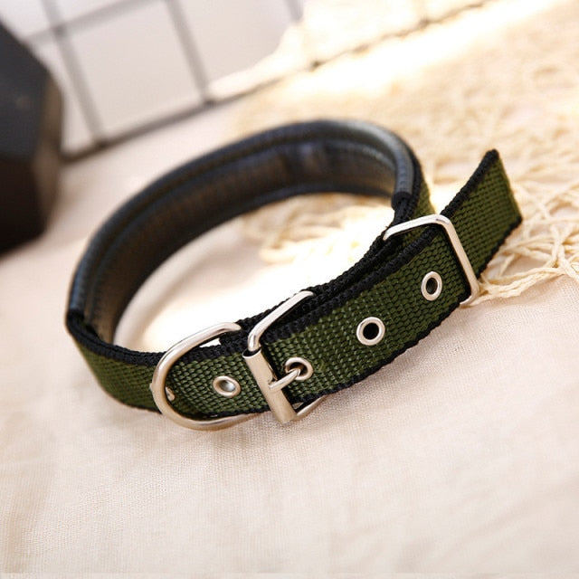 Nylon Color Dog Collars - BOUSSAC