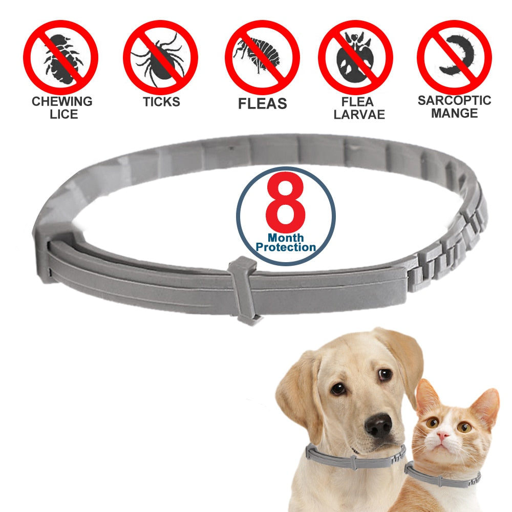 Dog and Cat Collar - Anti-flea, Ticks, Mosquitoes