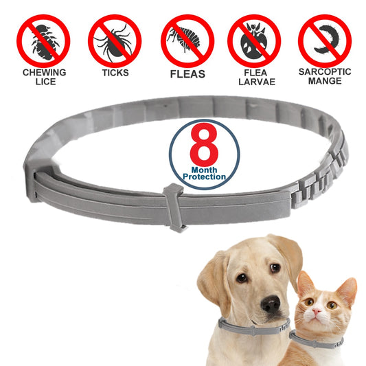 Dog and Cat Collar - Anti-flea, Ticks, Mosquitoes