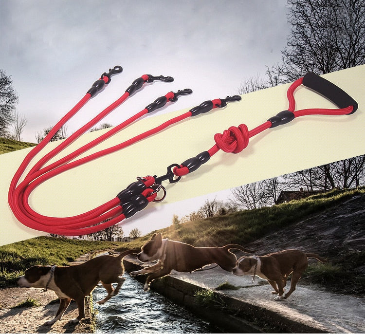 Dog Leash Nylon - 2, 3 or 4 Ropes