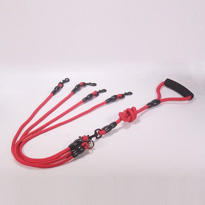 Dog Leash Nylon - 2, 3 or 4 Ropes