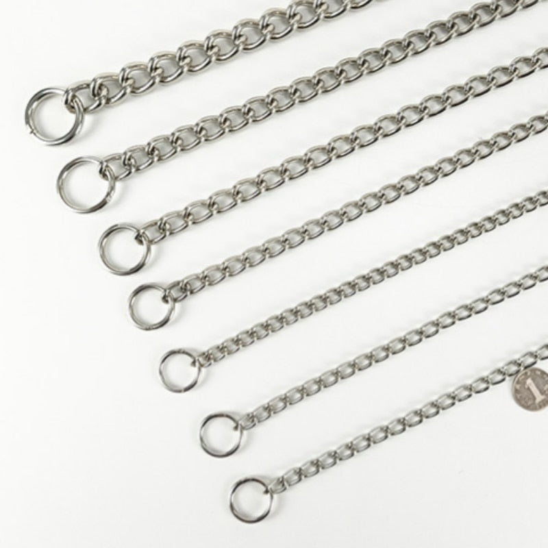 Metal Silver Stainless Dog Collar