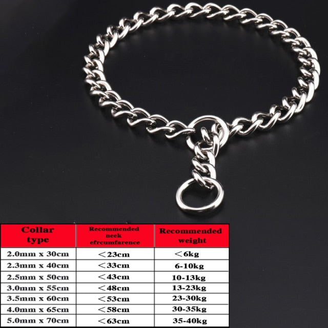 Metal Silver Stainless Dog Collar